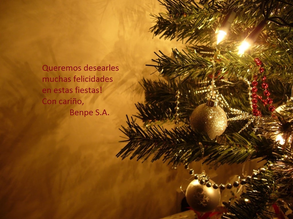 Felices Fiestas	